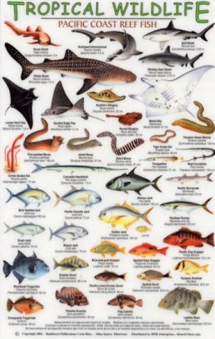 Full Download Pacific Coast Reef Fish (Tropical Wildlife Field Guide) - A. Suarez | PDF
