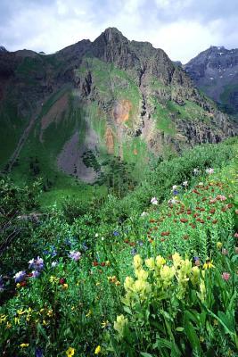 Download Rocky Mountains and Wildflowers, Colorado: Blank 150 Page Lined Journal for Your Thoughts, Ideas, and Inspiration -  | ePub