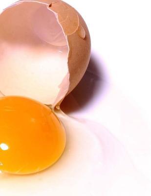 Full Download Cracked Eggs Notebook: Notebook with 150 Lined Pages -  | ePub