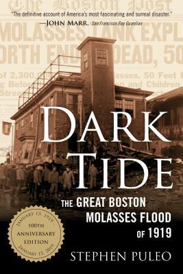 Download Dark Tide: The Great Boston Molasses Flood of 1919 - Stephen Puleo file in PDF