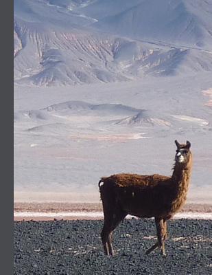 Read Daily Planner: 2019 - 2020 Llama in Snow Mountains Yearly Planner I January 19 - December 19 Writing Notebook Plan Days, Set Goals & Get Stuff Done - Safarii Publications file in PDF