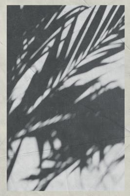 Full Download 2020: Palm Tree shadows Charming Planner Calendar Organizer Daily Weekly Monthly Vintage Retro Poster style for researching accommodation in Maldives all inclusive -  file in PDF
